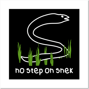 No Step On Snek Posters and Art